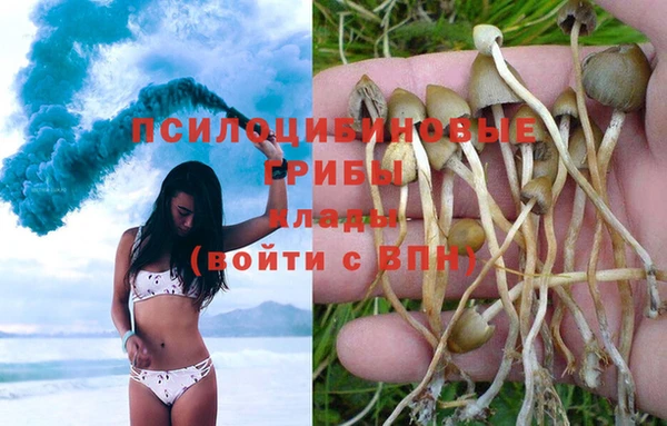 ALPHA PVP Приозерск
