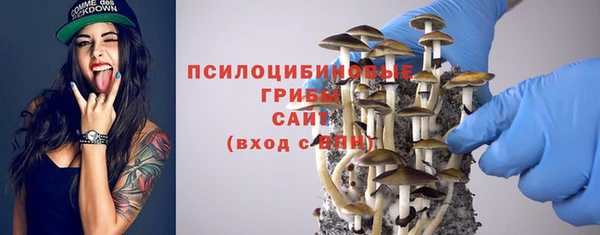 эйфоретик Пролетарск