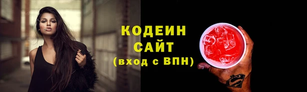 ПСИЛОЦИБИНОВЫЕ ГРИБЫ Алзамай