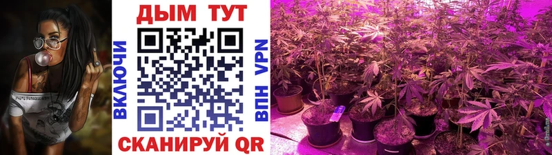 даркнет сайт  Гусиноозёрск  МАРИХУАНА план 
